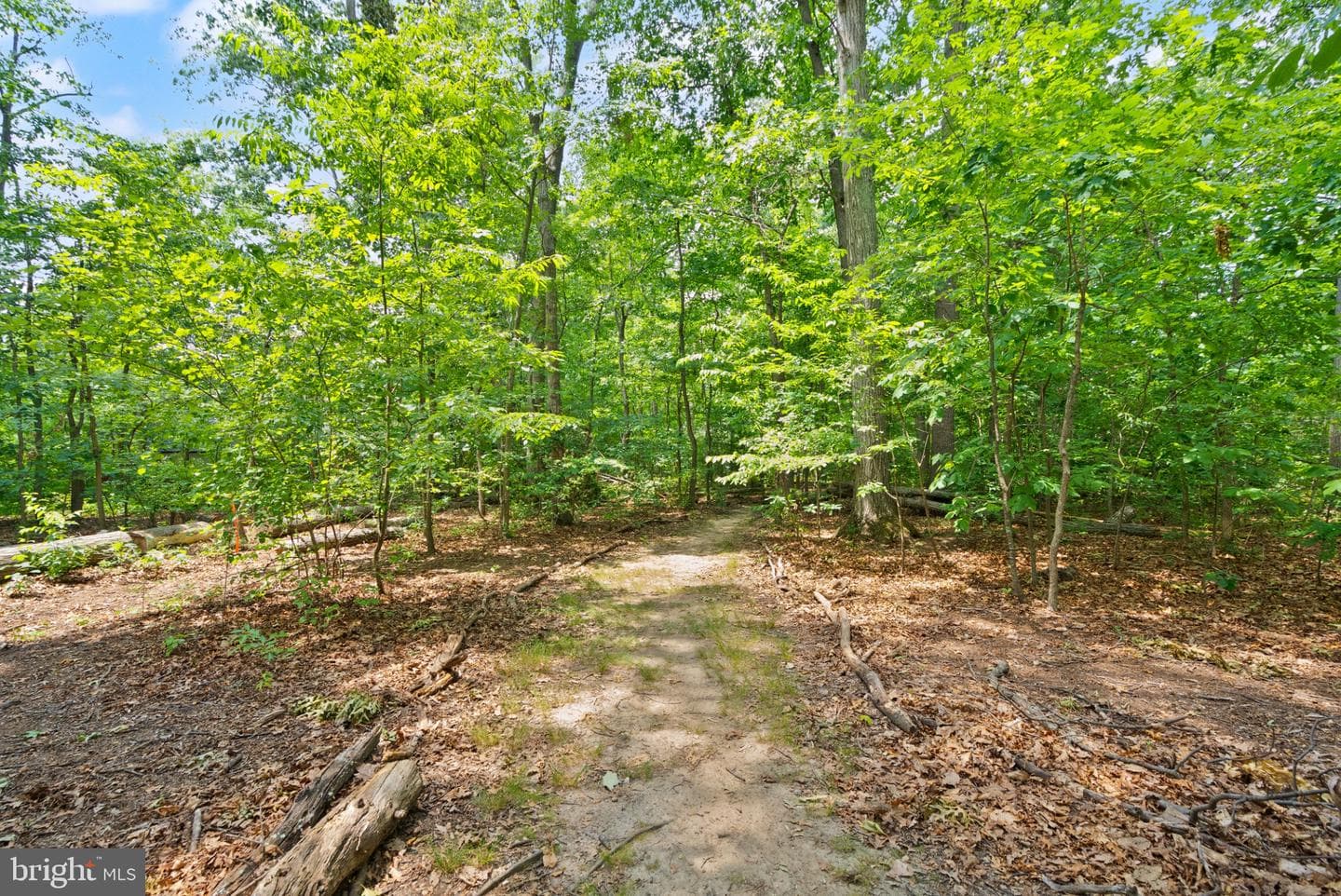 11168 Beaver Trail Court photo 51