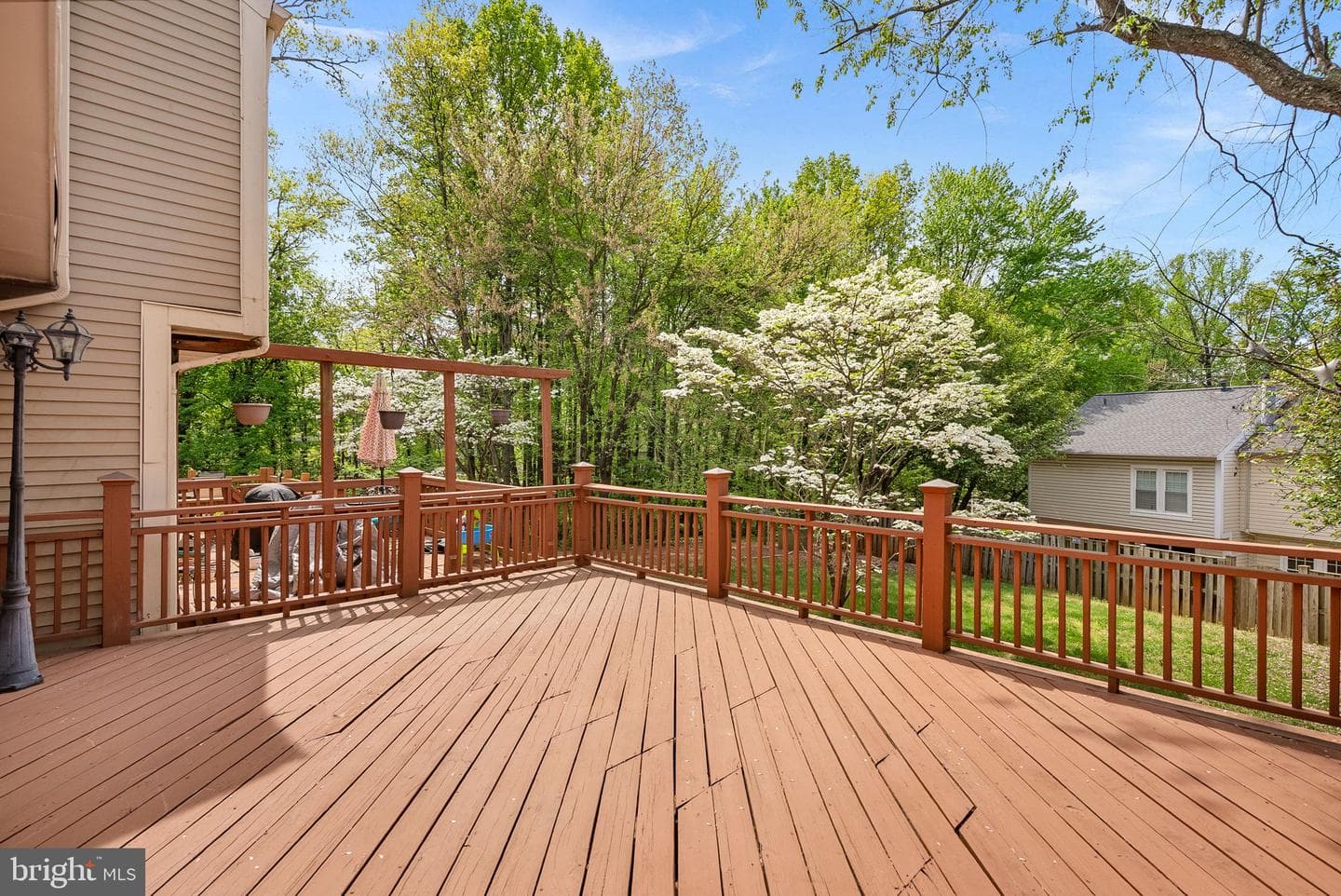 12541 Alder Woods Drive photo 24