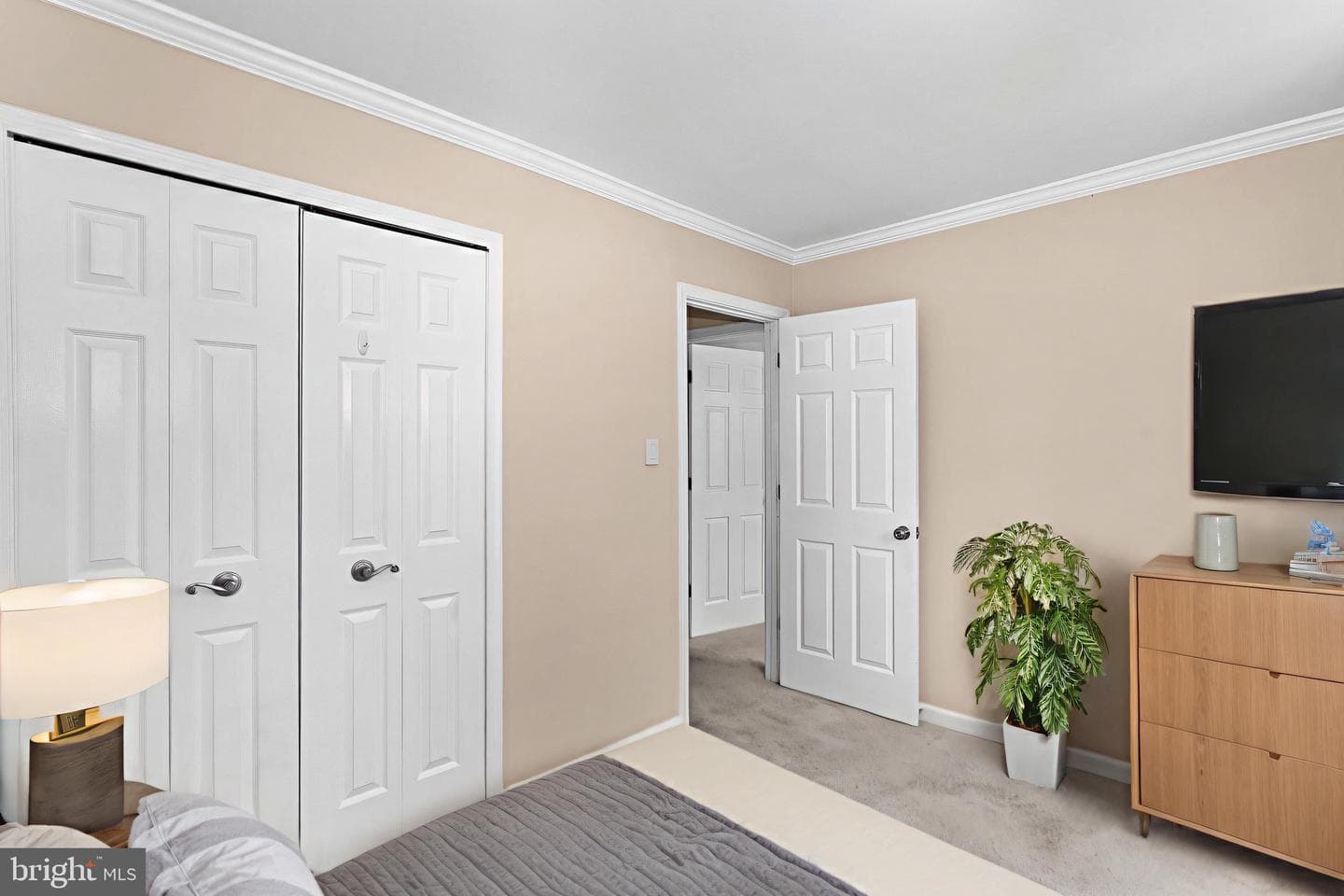 12541 Alder Woods Drive photo 36