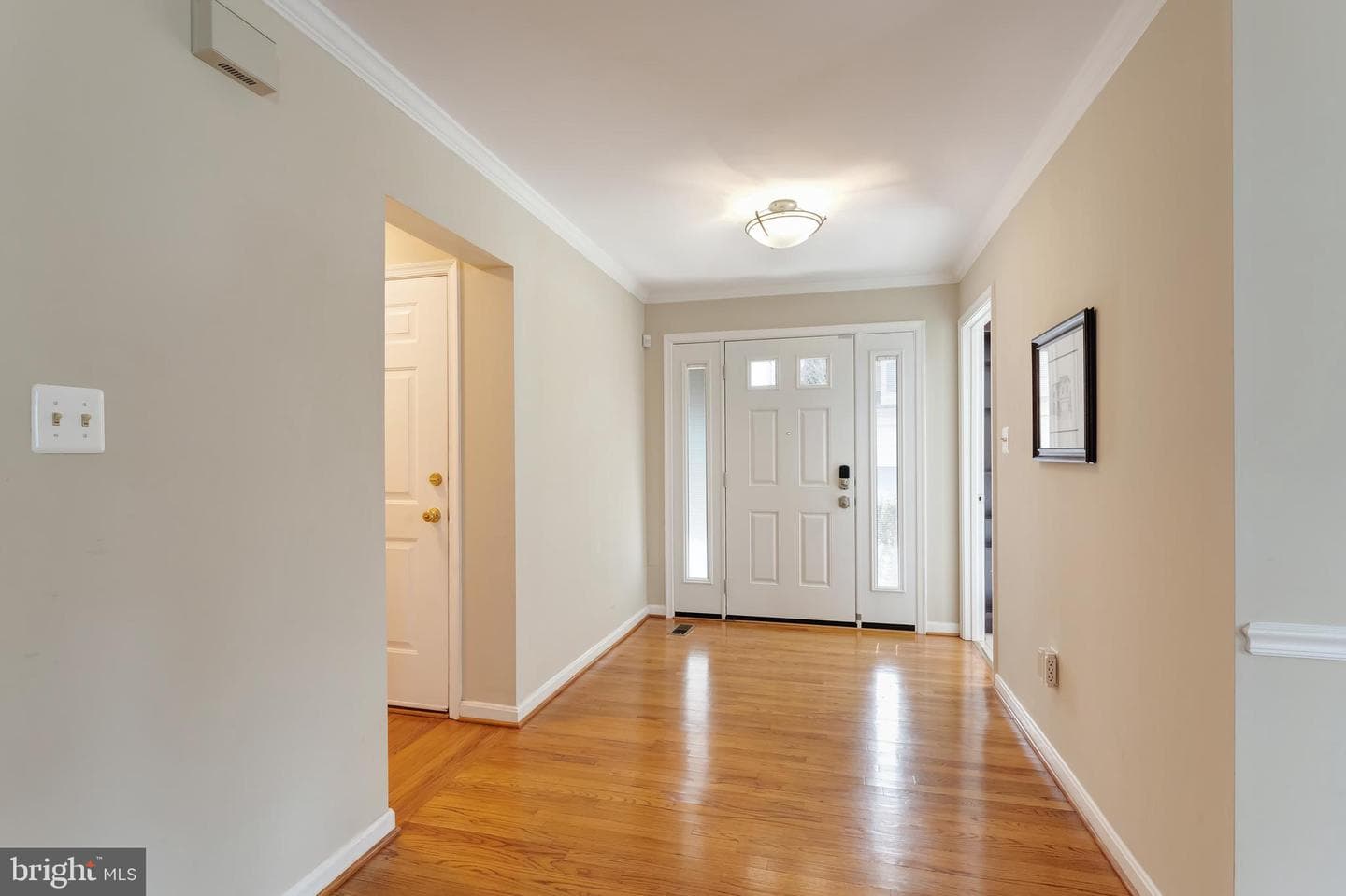 7506 Silver Maple Lane photo 8