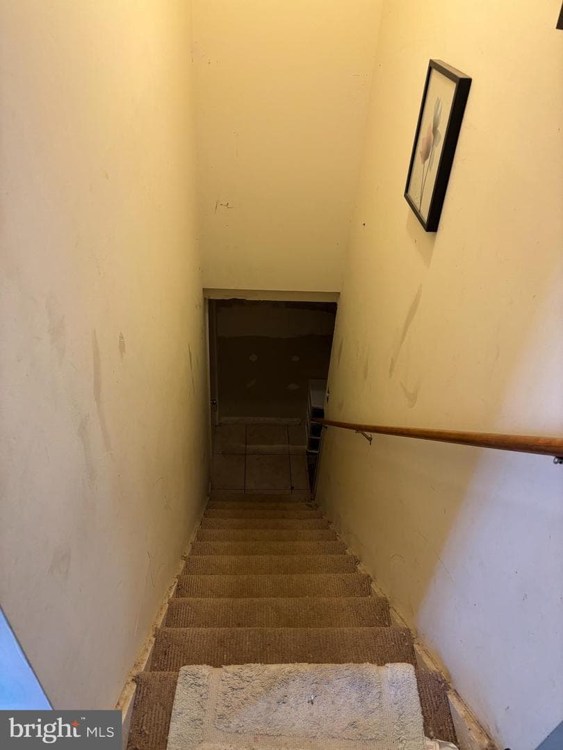3845 Pinewood Terrace photo 4