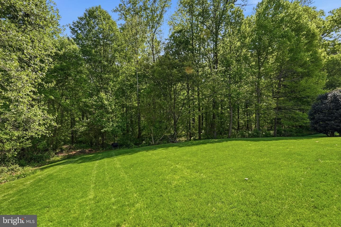 6075 Deer Ridge Trail photo 61