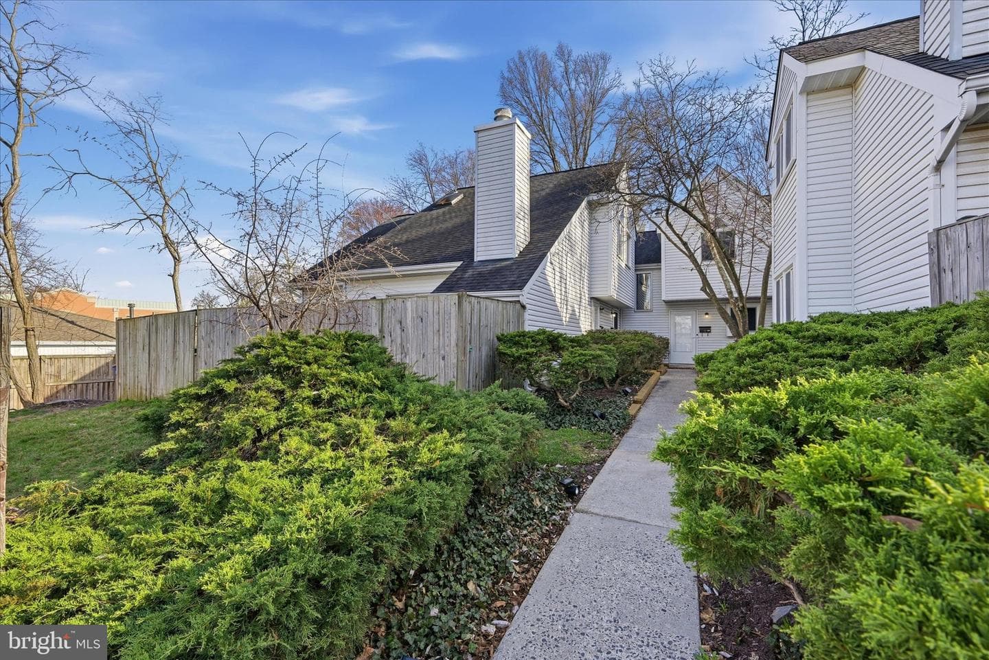 805 Locust Street #6 photo 2