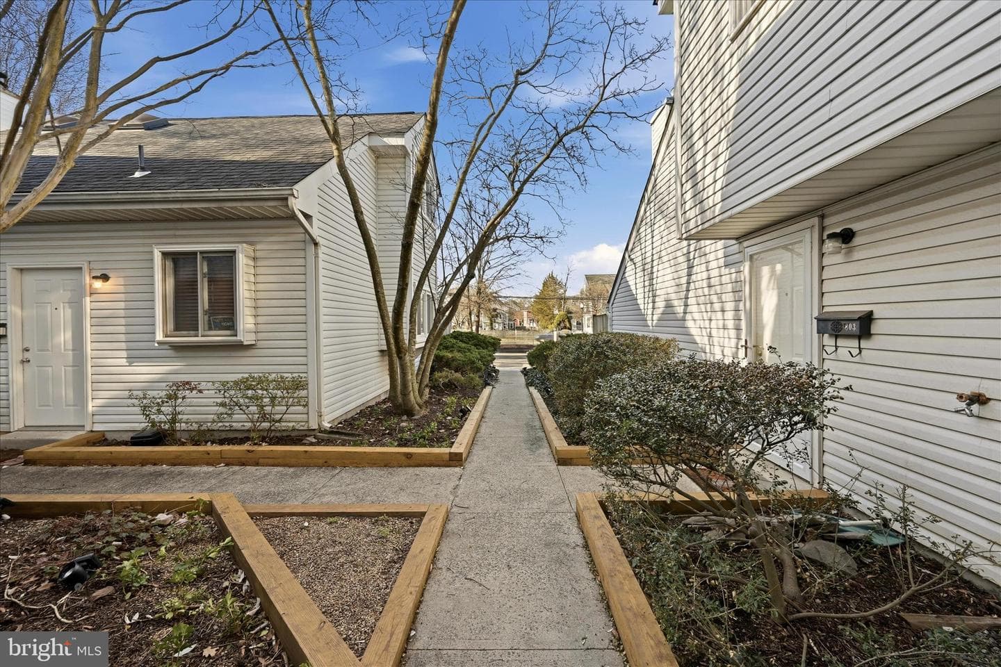 805 Locust Street #6 photo 4