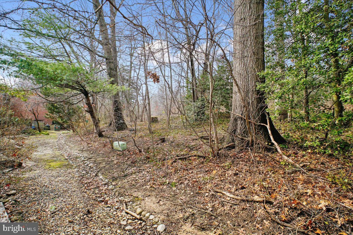 11514 Sunder Court photo 56