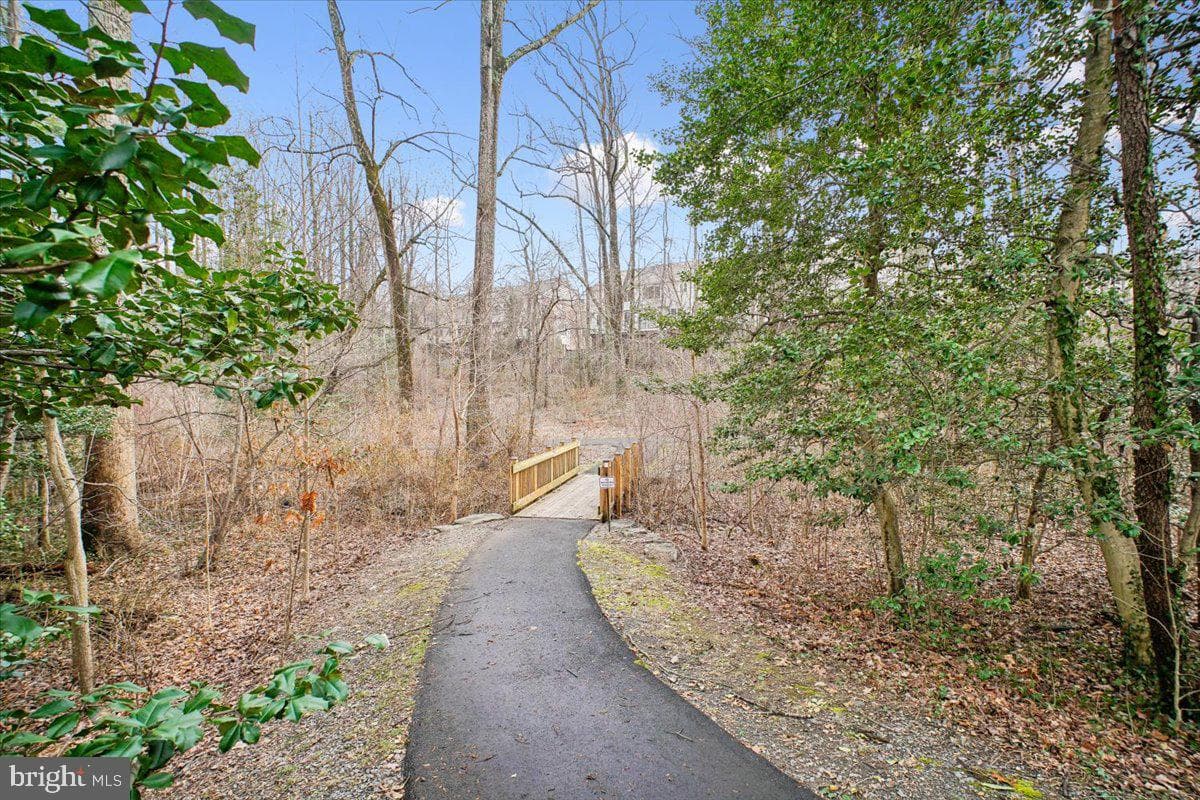 11514 Sunder Court photo 58