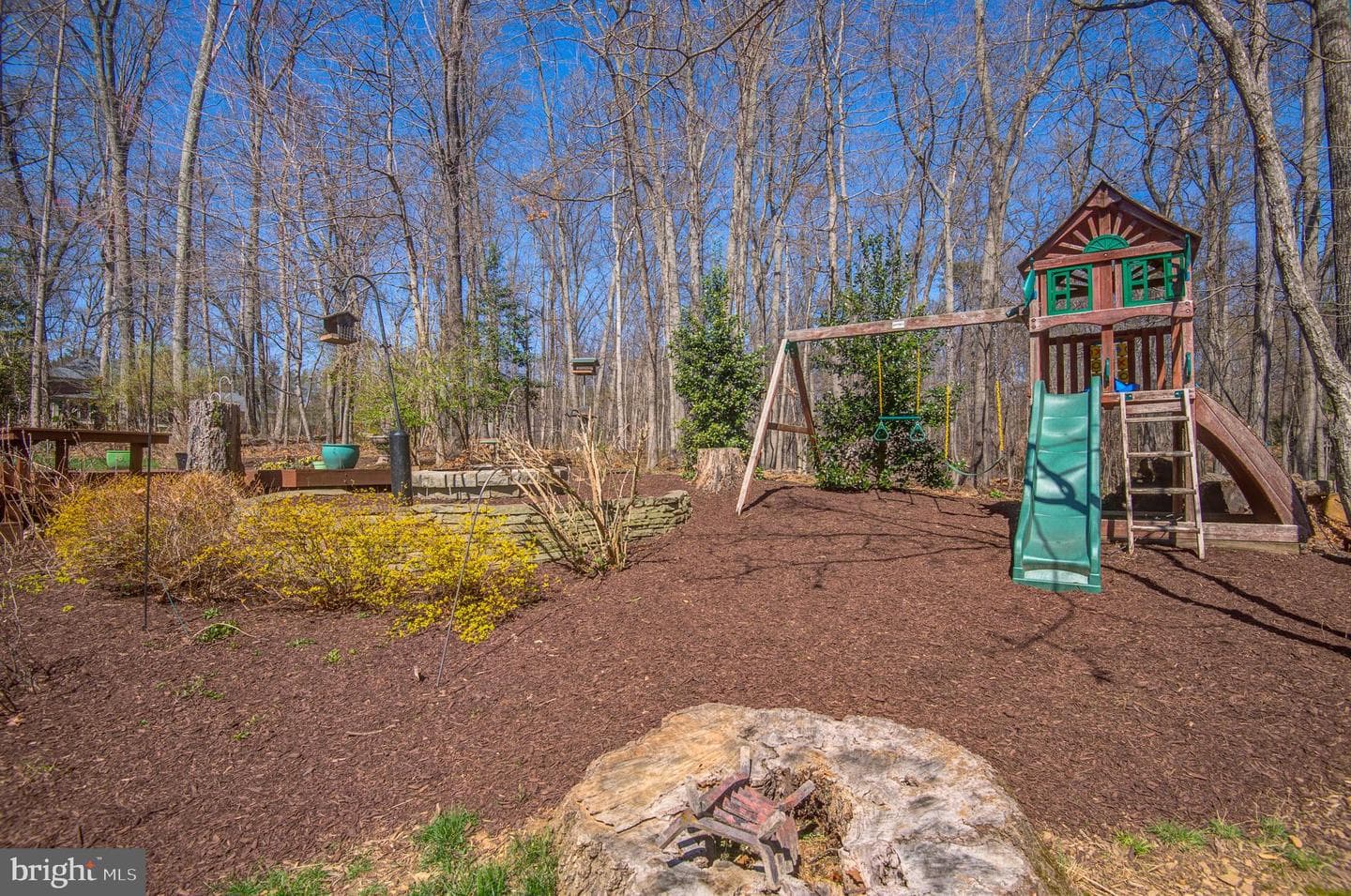 11006 Raccoon Ridge Court photo 40