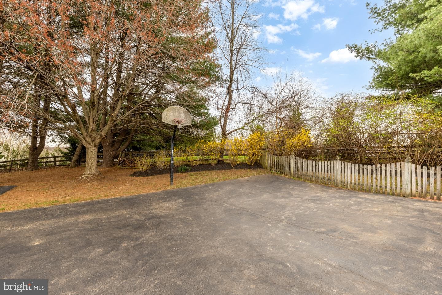 10009 Thompson Ridge Court photo 68