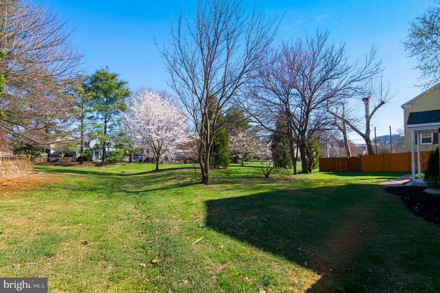 412 Magnolia Court photo 5
