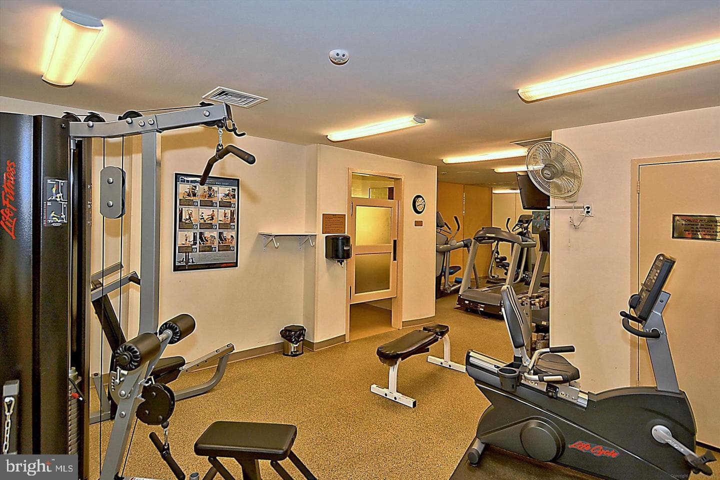 3705 S George Mason Drive #1811s photo 35