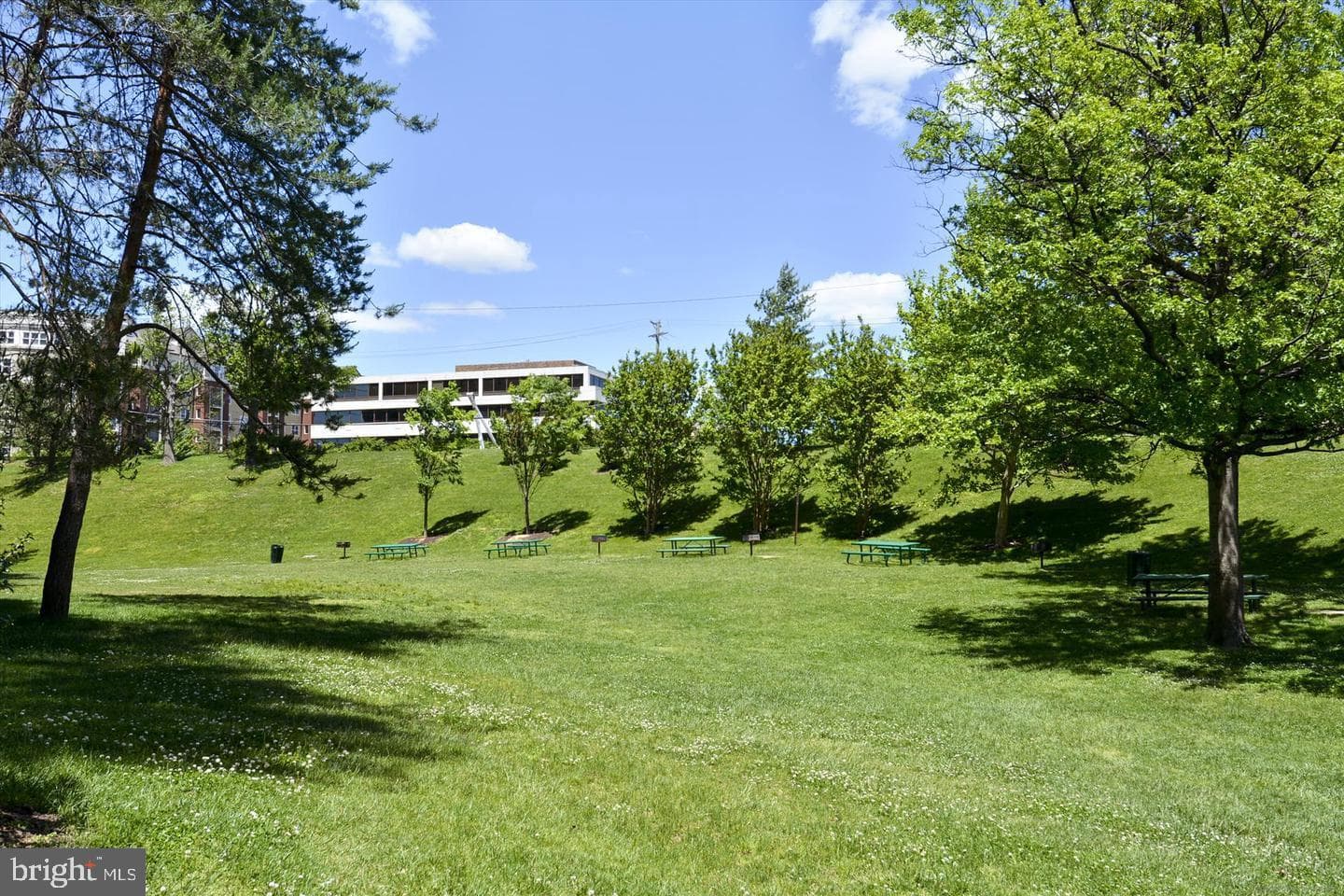 3705 S George Mason Drive #1811s photo 38