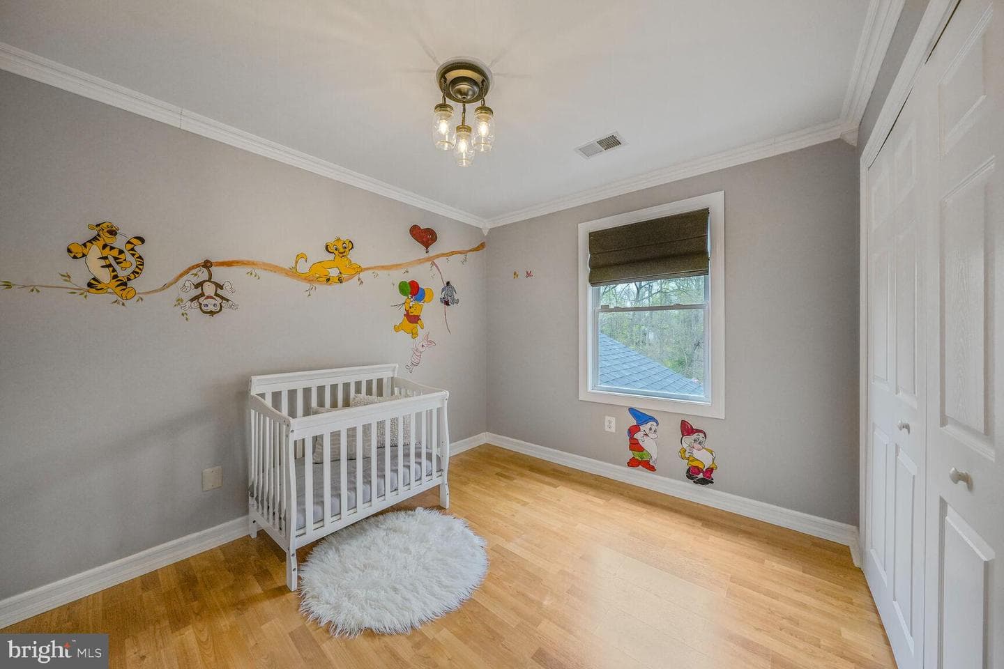 6532 Spring Valley Drive photo 19