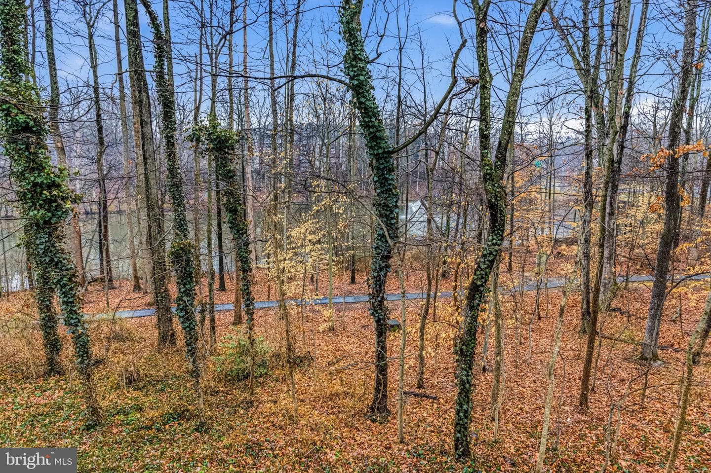 12541 N Lake Court photo 37