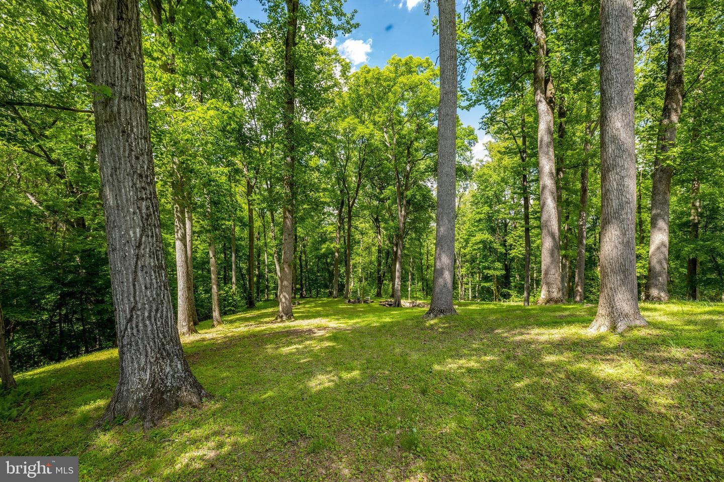 105 Interpromontory Road photo 71