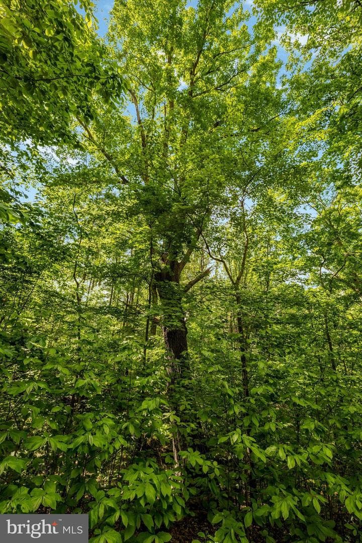 105 Interpromontory Road photo 74