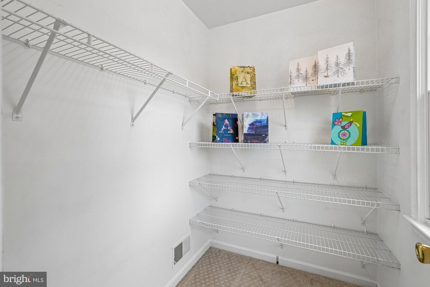 12771 Flat Meadow Lane photo 41