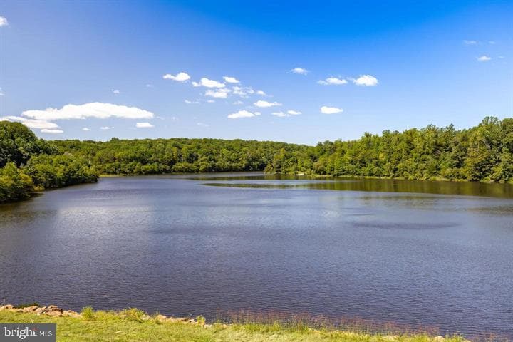 8019 Galla Knoll Circle photo 54