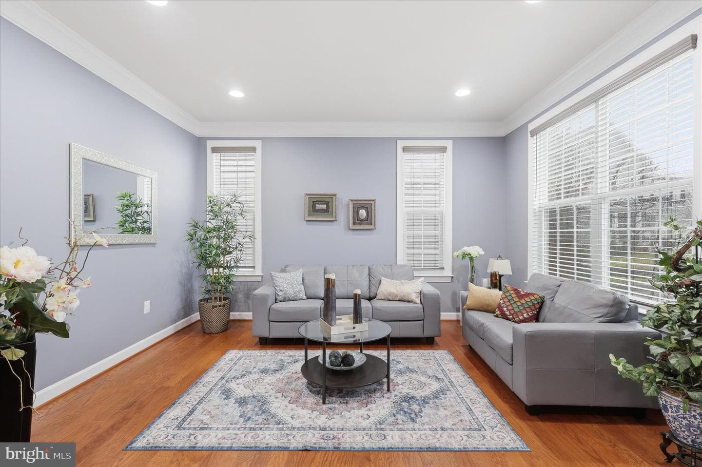 5575 James Young Way photo 4