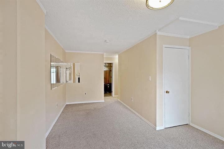 4223 Sauterne Court photo 15