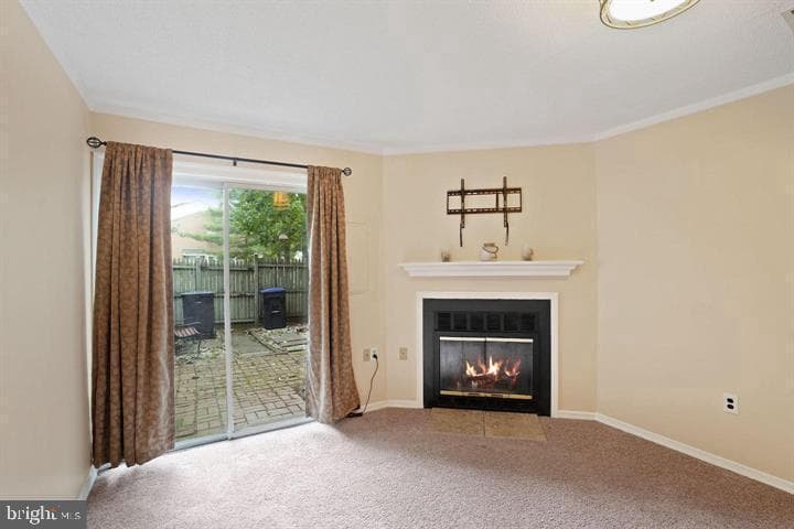 4223 Sauterne Court photo 16