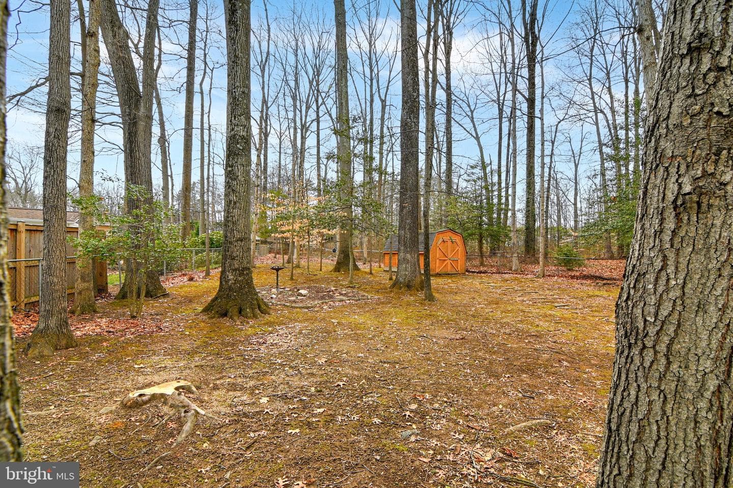 6634 Cardington Court photo 41