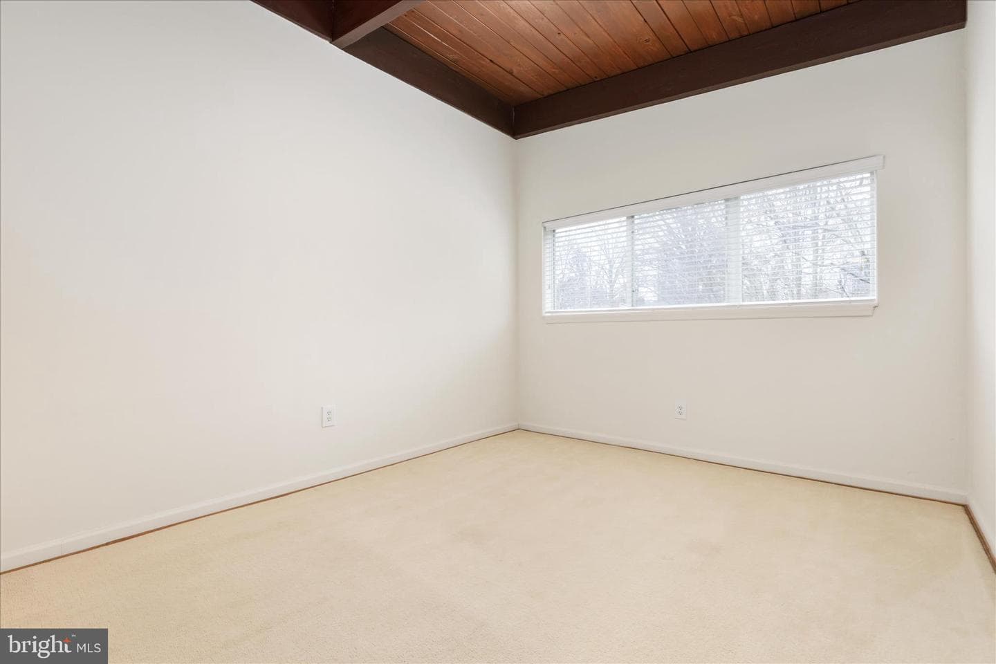 4901 Americana Drive #202 photo 20