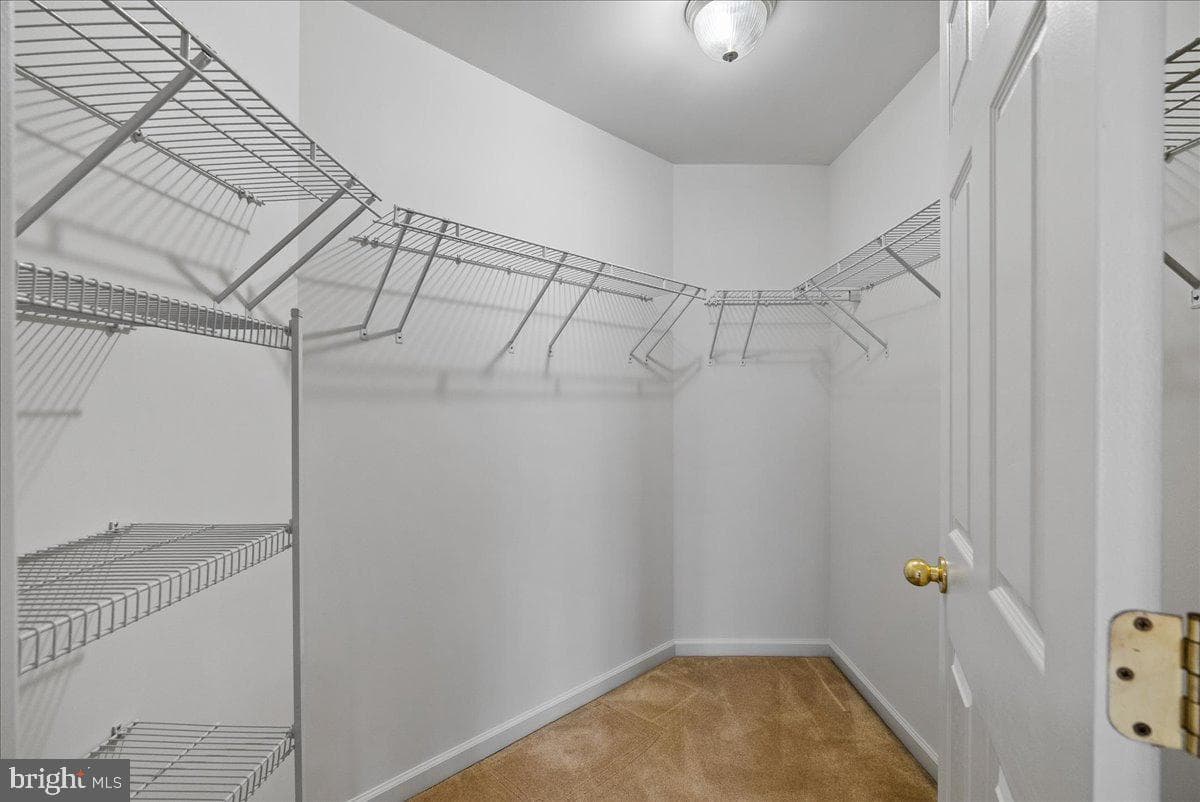 14253 Woven Willow Lane #96 photo 22
