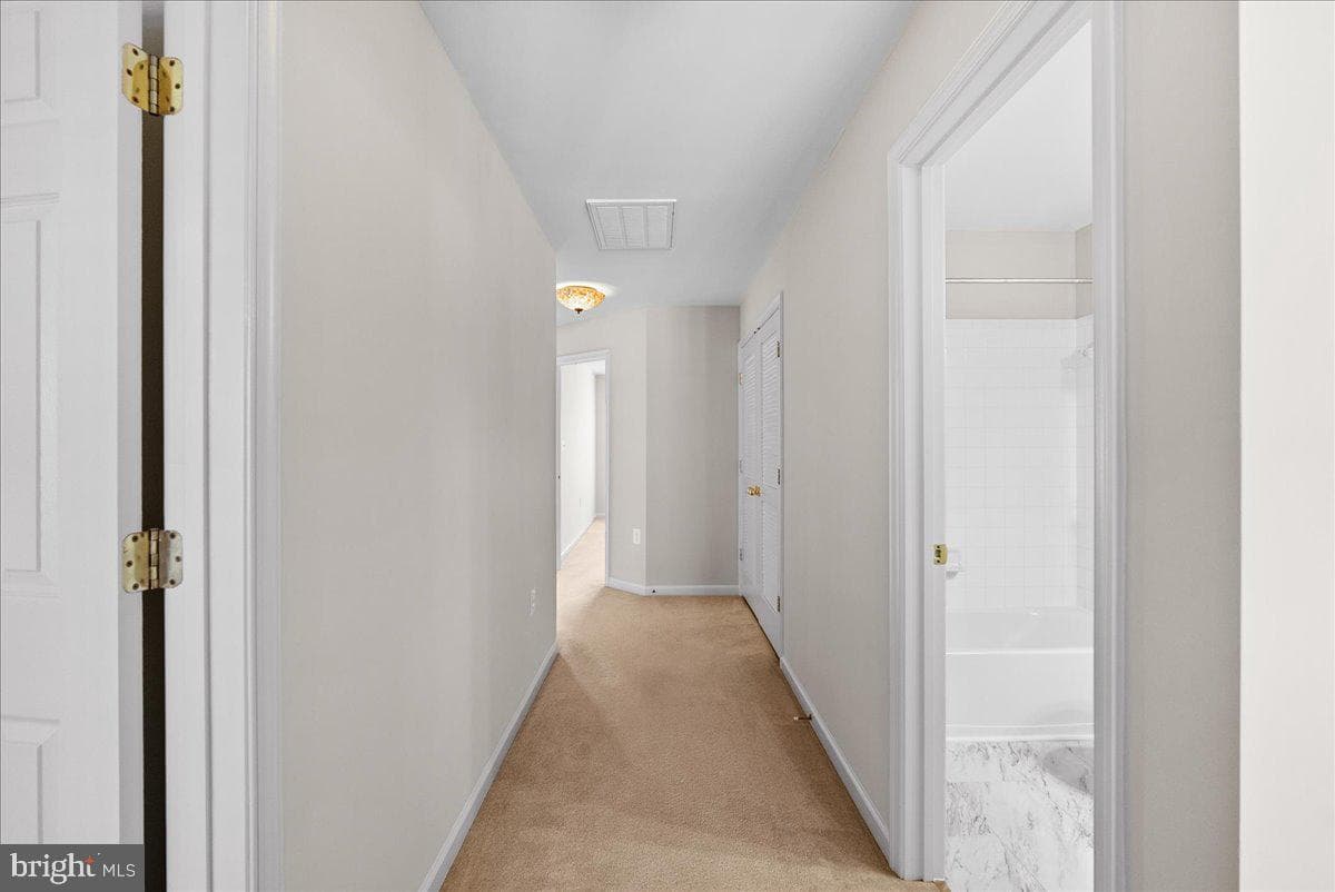 14253 Woven Willow Lane #96 photo 31