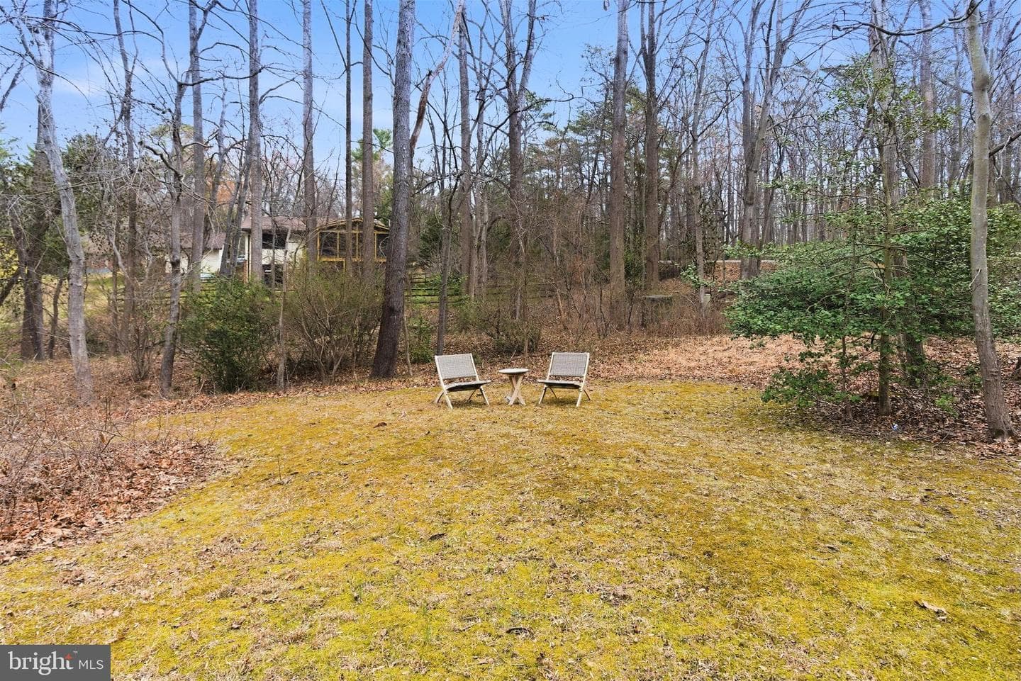 11203 Leatherwood Drive photo 48