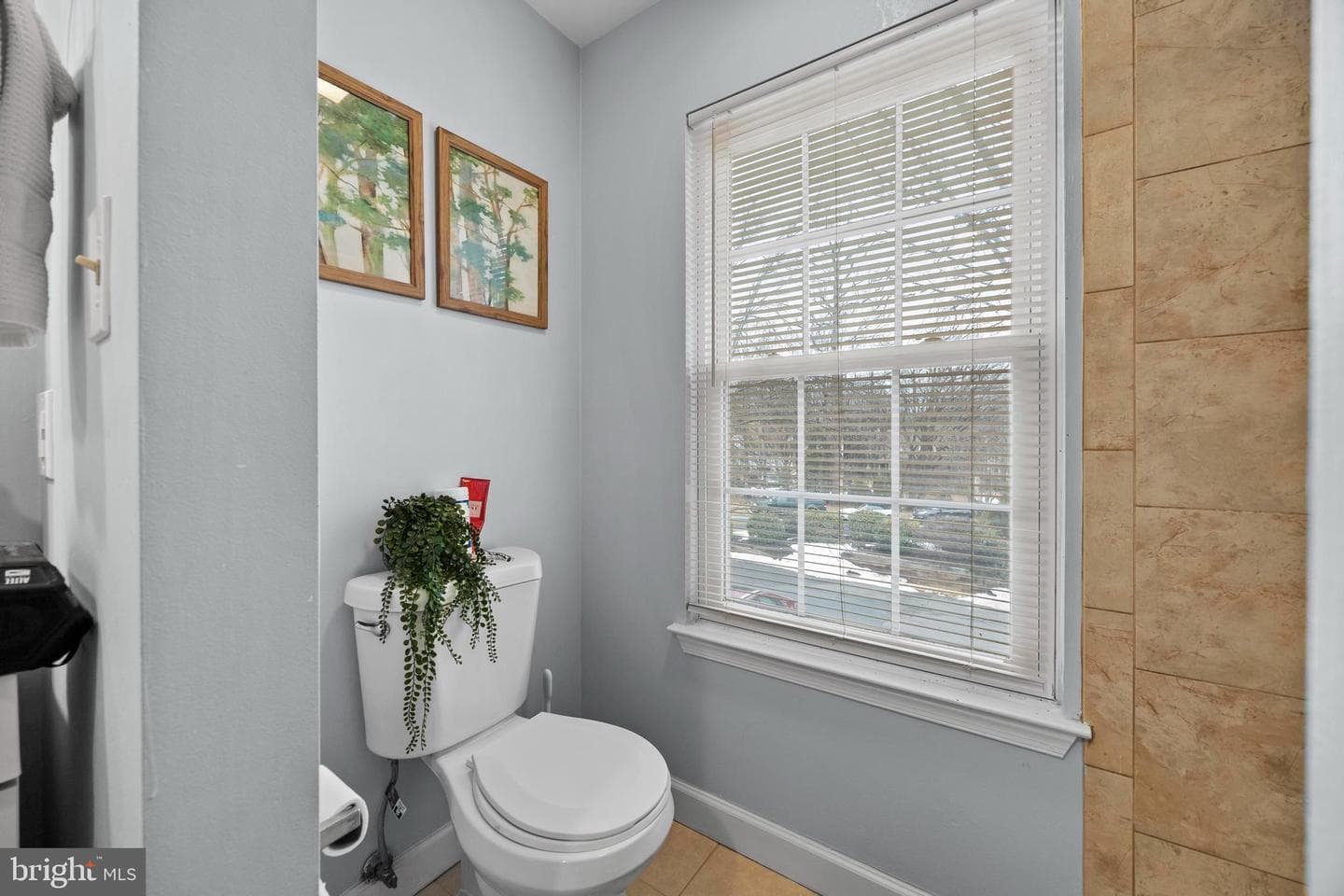 3930 Collis Oak Court photo 33