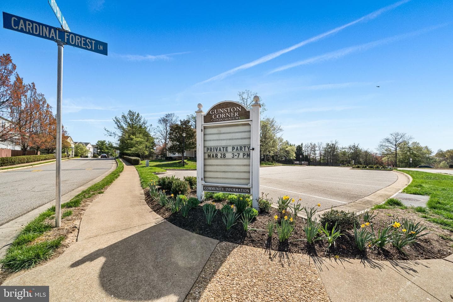 9247 Cardinal Forest Lane #202 photo 46