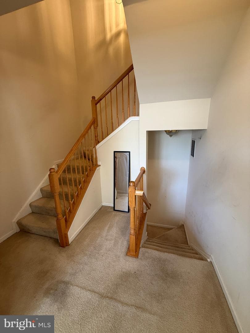 4617 Hummingbird Lane #110 photo 30