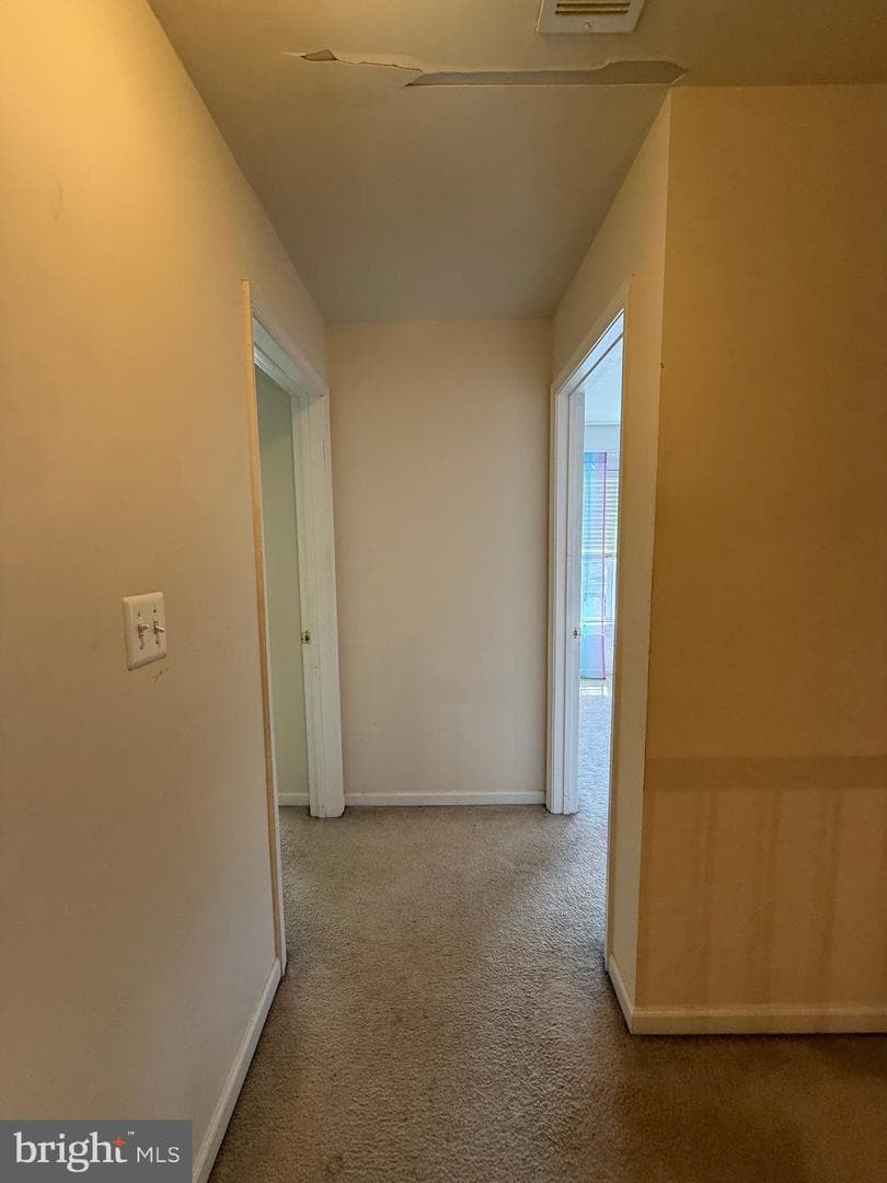 4617 Hummingbird Lane #110 photo 33