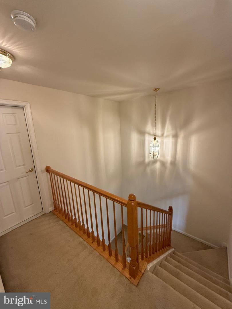 4617 Hummingbird Lane #110 photo 39
