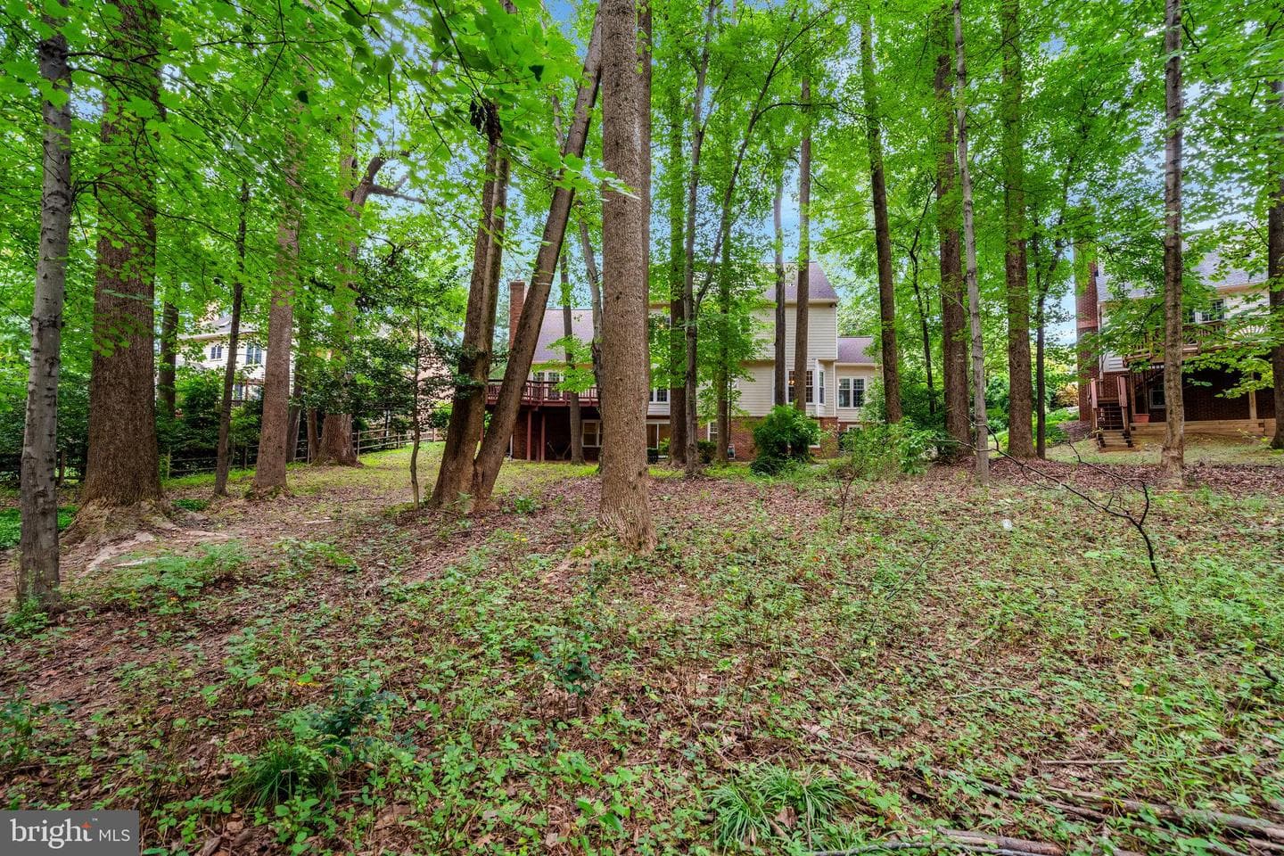 11181 Longwood Grove Drive photo 84