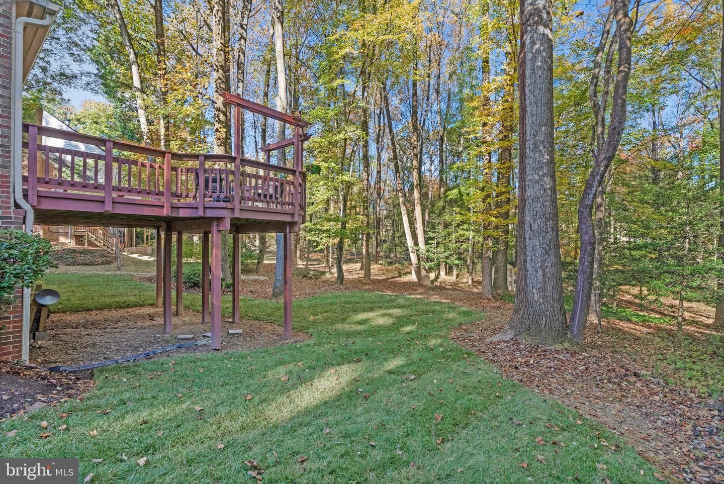 11181 Longwood Grove Drive photo 86