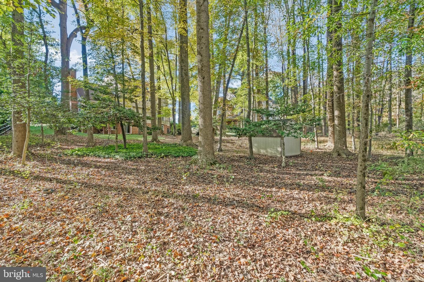 11181 Longwood Grove Drive photo 90
