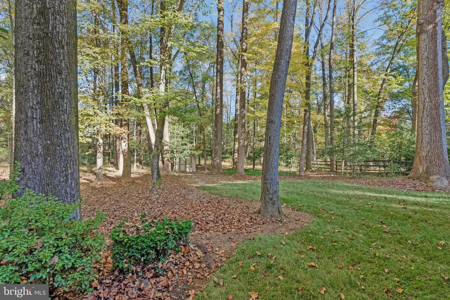 11181 Longwood Grove Drive photo 91