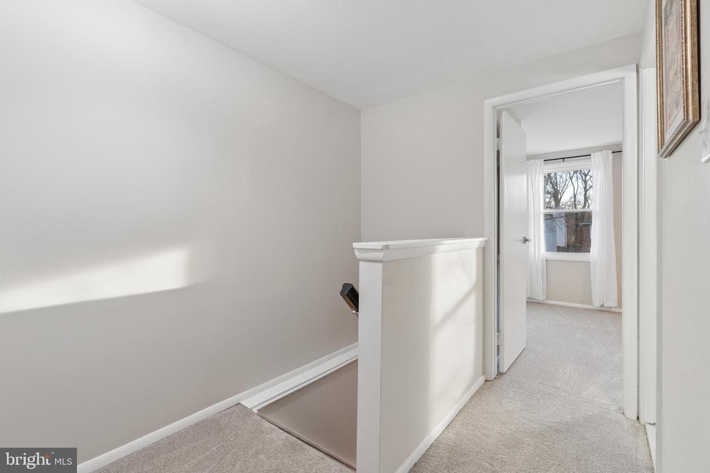 8213 Claremont Woods Drive photo 15