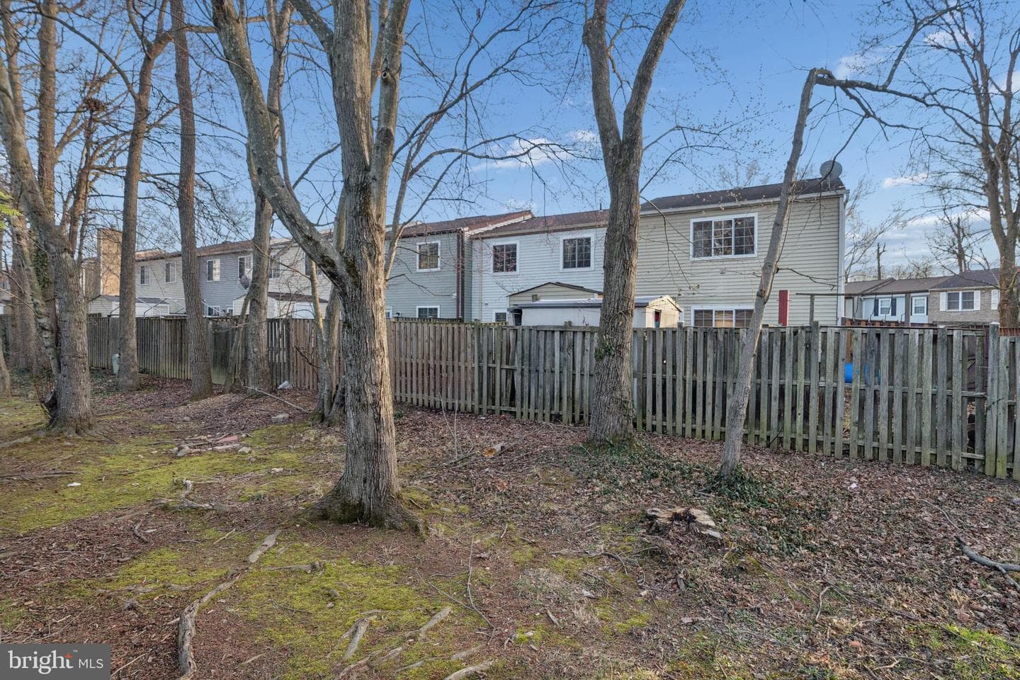 8213 Claremont Woods Drive photo 29