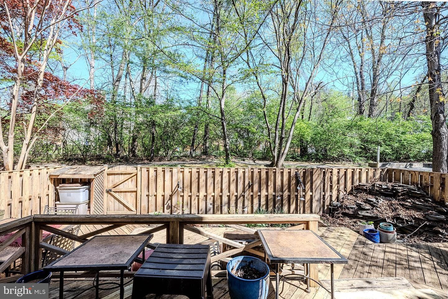 9648 Masterworks Drive photo 35