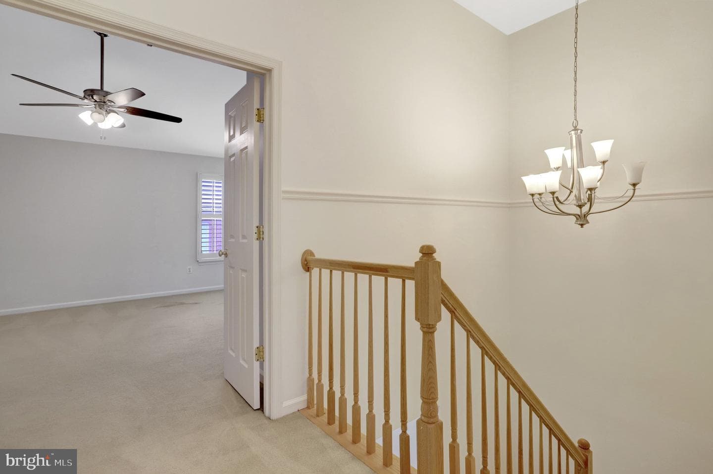 5282 Sandyford Street photo 37