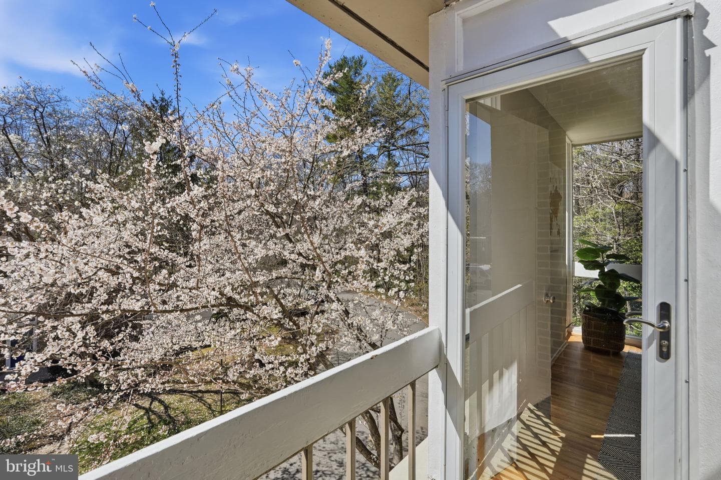 11526 Maple Ridge Road photo 44