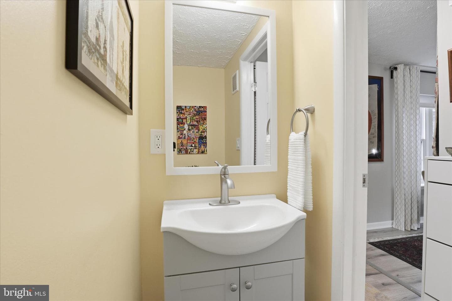 8723 Canaan Court photo 9
