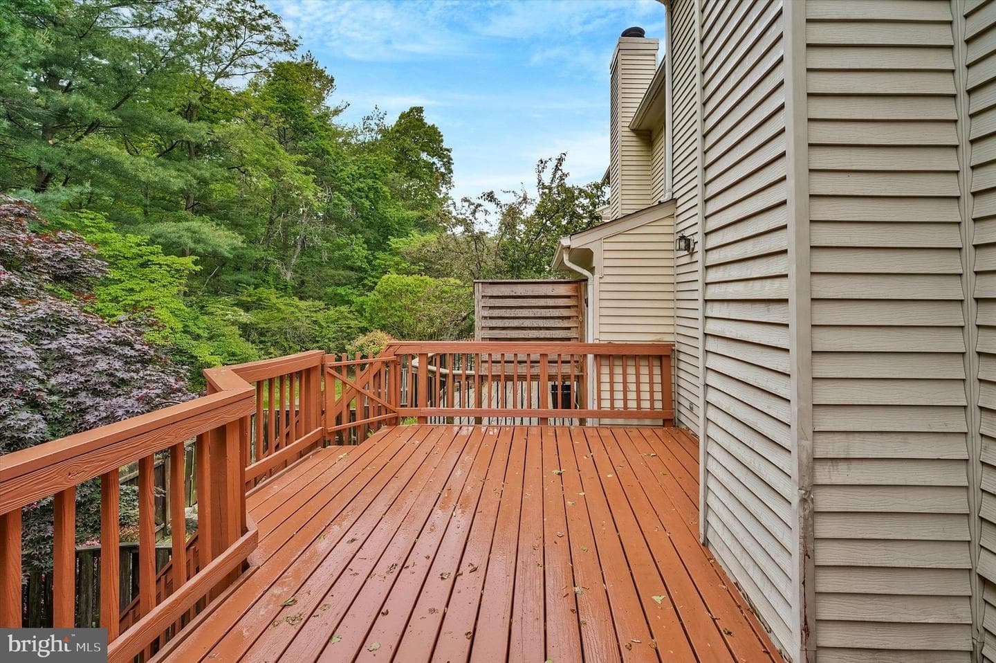 6274 Walkers Croft Way photo 20