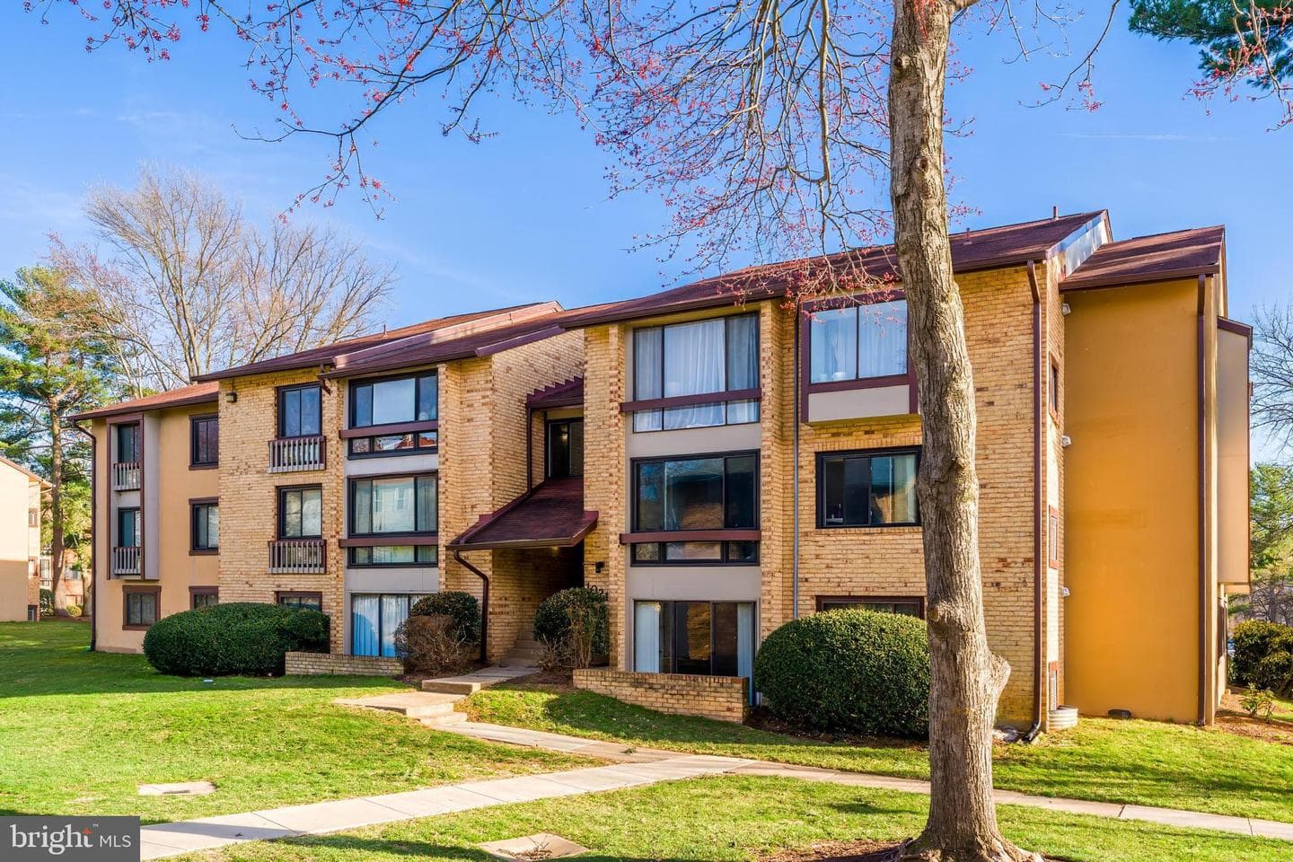 10218 Bushman Drive #101 photo 1