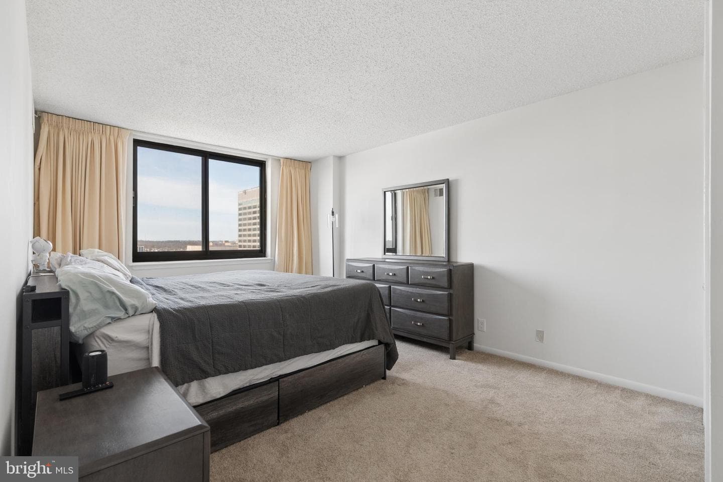 5505 Seminary Road #1106n photo 17