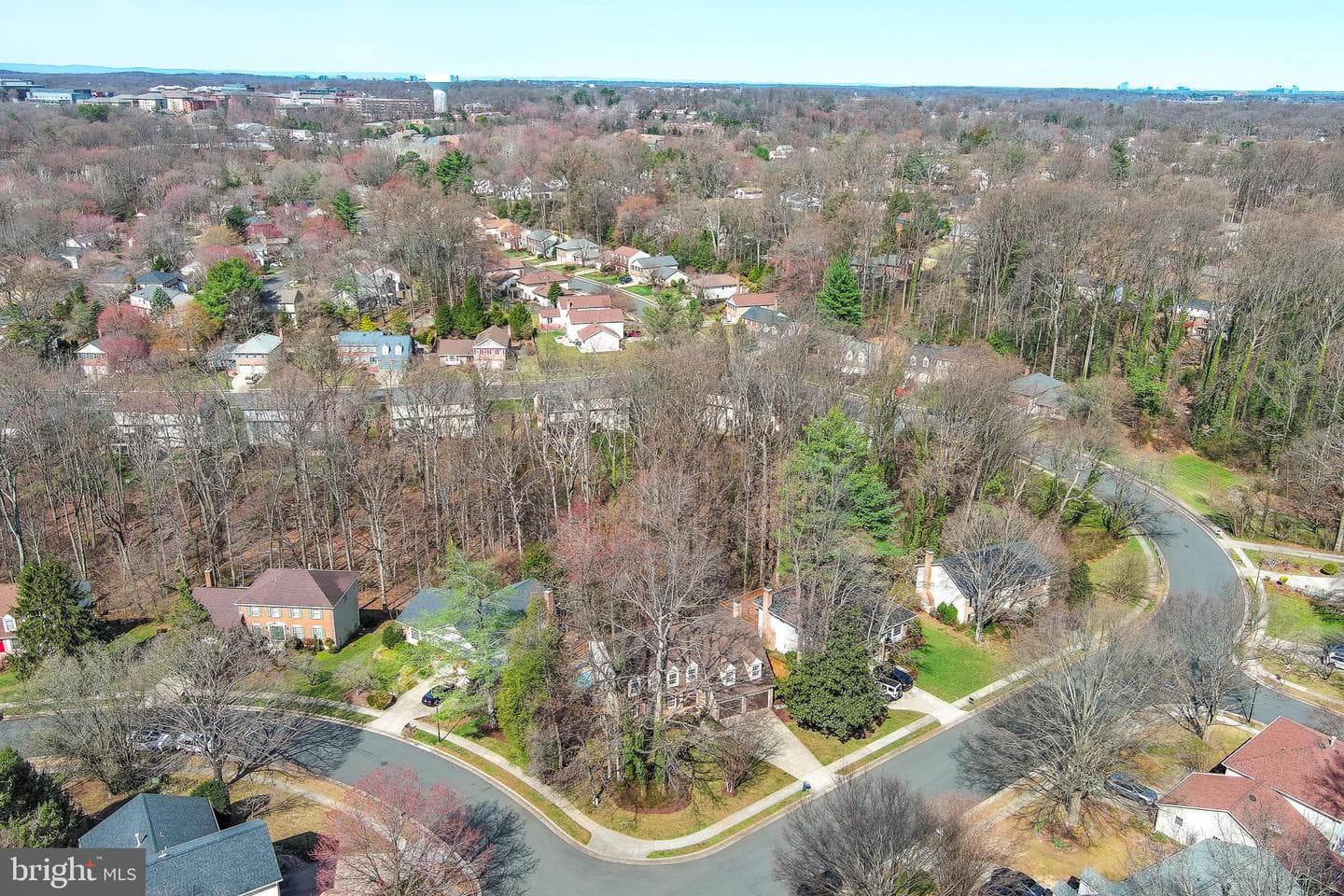 10150 Red Spruce Road photo 63