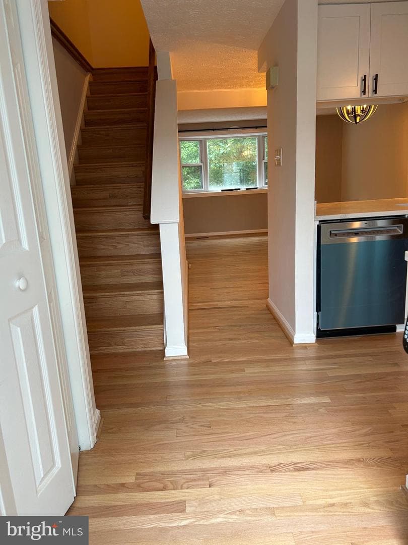 8317 Brookvale Court photo 2
