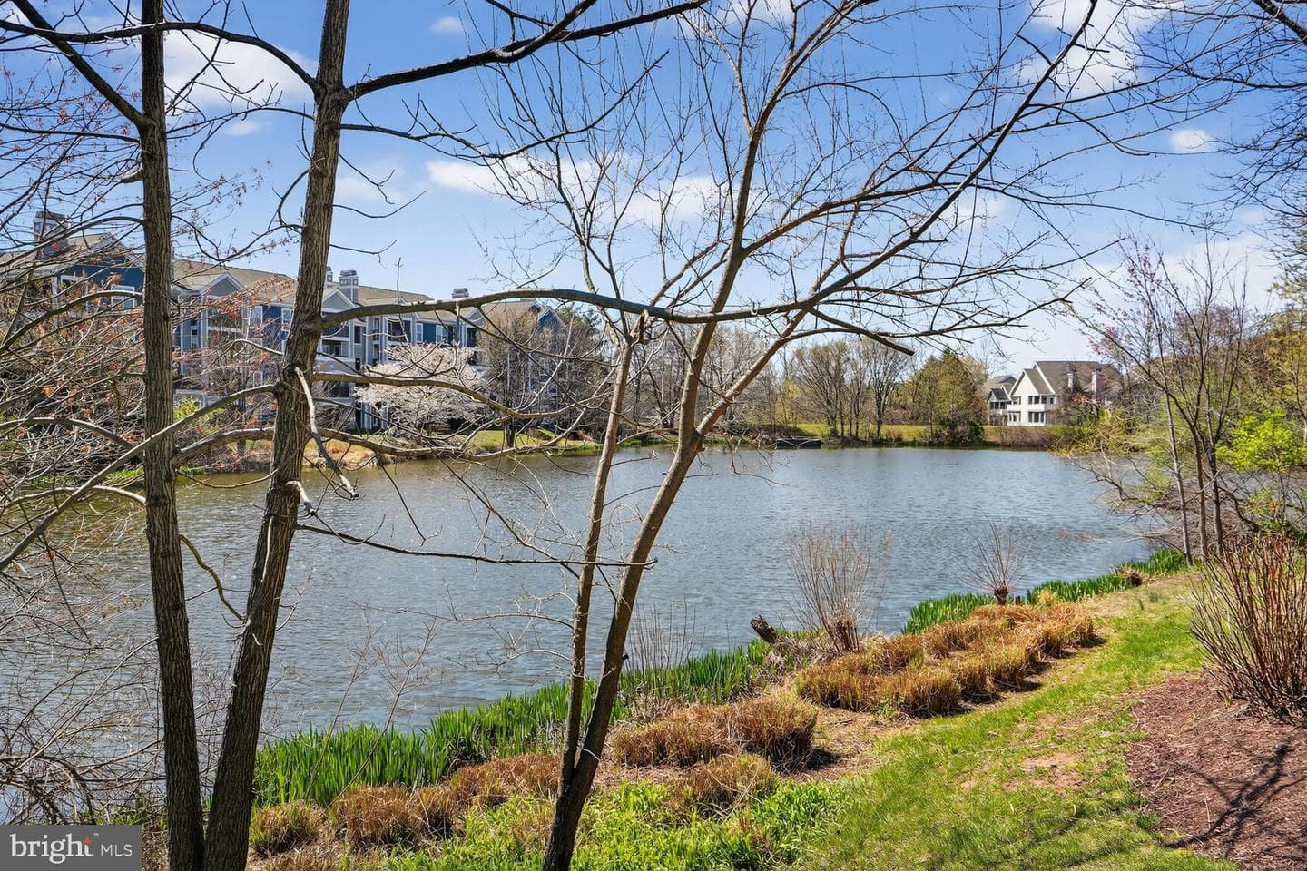 14322 Climbing Rose Way #306 photo 32